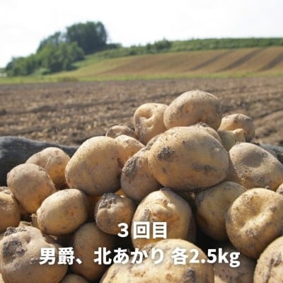 野菜 定期便 3回便【令和9年産先行受付】北海道 野菜 黒木農場