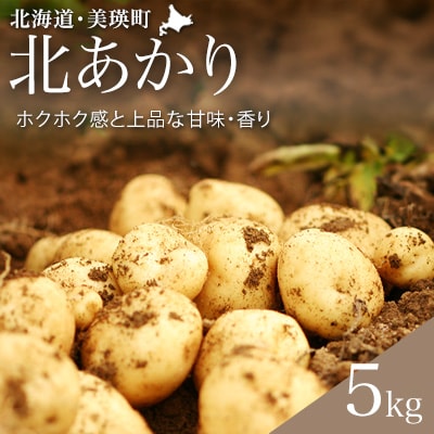 【令和7年産先行受付!】黒木農場　じゃがいも(北あかり)5kg[006-24]