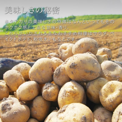じゃがいも 北あかり 10kg 令和8年産先行受付 　[010-214]