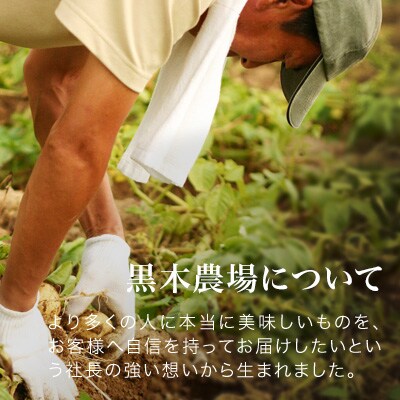 じゃがいも 北あかり 10kg 令和7年産先行受付 　[010-208]