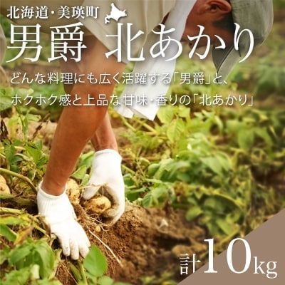 じゃがいも (男爵・北あかり)計10kg【令和8年産先行受付】黒木農場　[010-211]