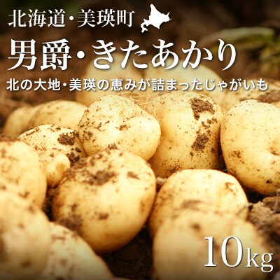 じゃがいも (男爵・北あかり)計10kg【令和8年産先行受付】黒木農場　[010-211]