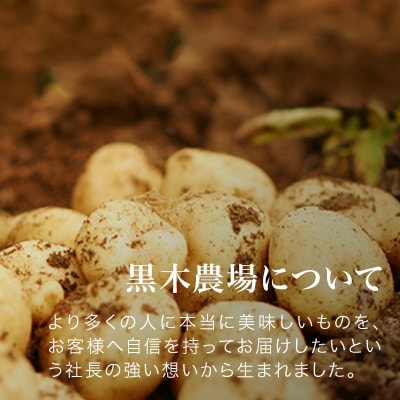 【令和7年産先行受付!】黒木農場　(男爵・北あかり)計10kg[010-209]