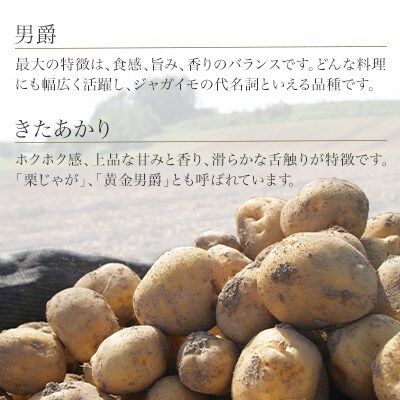 じゃがいも (男爵・北あかり)計10kg【令和8年産先行受付】黒木農場　[010-211]