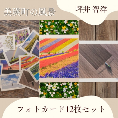 写真家 坪井 智洋 美瑛の風景 フォトカード 12枚セット [006-21]