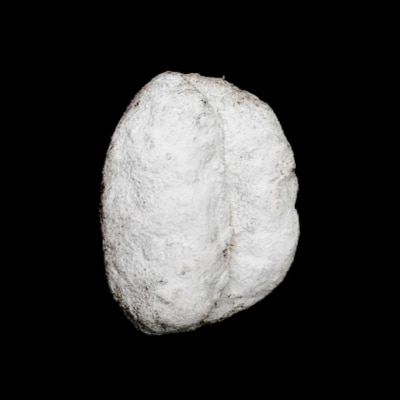 シュトーレン[015-123]