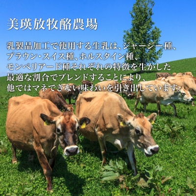 チーズ グランプリ受賞 100g×3個 6ヶ月 美瑛放牧酪農場 フロマージュ・ド・美瑛 定期便