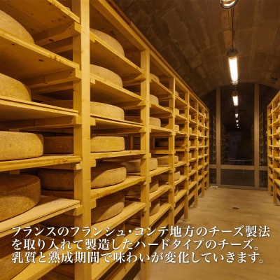 チーズ グランプリ受賞 100g×10個 6ヶ月 美瑛放牧酪農場 フロマージュ・ド・美瑛 定期便
