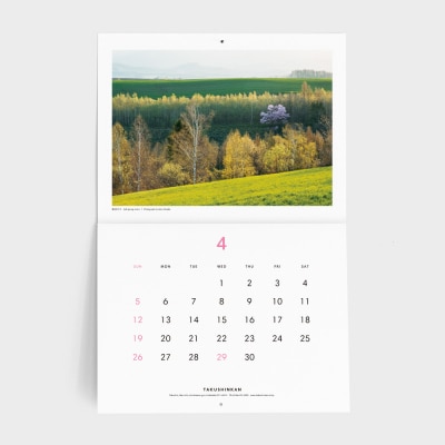 2026年拓真館カレンダー『Trees on the Hills』[011-60]