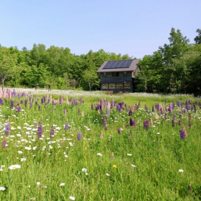 リッカロッカ 美瑛小麦「ゆめちから」のこだわりパンつめあわせ[019-71]