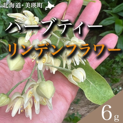 ハーブティー リンデンフラワー [009-37]