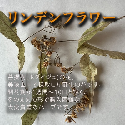ハーブティー リンデンフラワー [009-37]