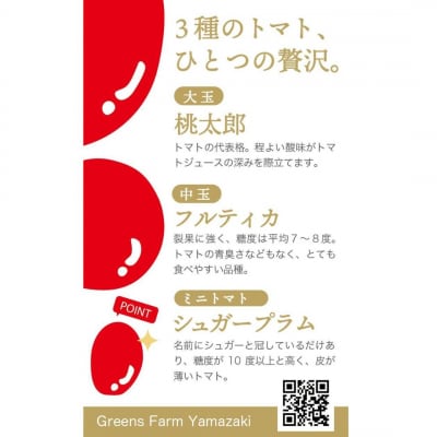 トマトジュース Greens Farm Yamazaki　朝日のトマトジュース 24本 180ml