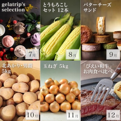 美瑛オールスター 定期便 12回便 [200-10]