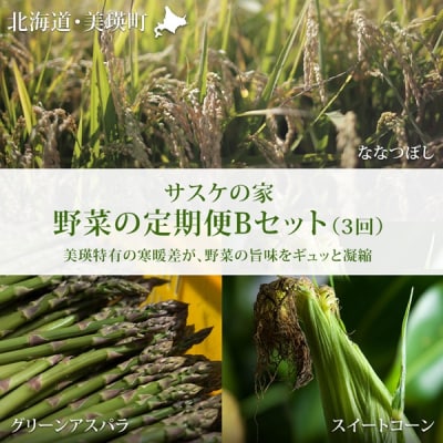 野菜 定期便 ≪令和8年産予約受付!≫サスケの家　野菜の定期便B (3回便)[062-02]
