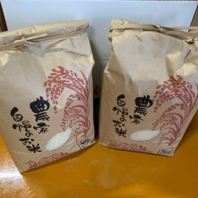 野菜 定期便 ≪令和8年産予約受付!≫サスケの家　野菜の定期便B (3回便)[062-02]