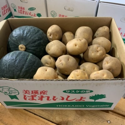 野菜 定期便 ≪令和8年産予約受付!≫サスケの家　野菜の定期便C (3回便)[062-03]