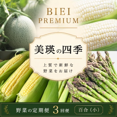 【令和9年産 先行予約】野菜 定期便 3回便 美瑛の四季～百合(小)～