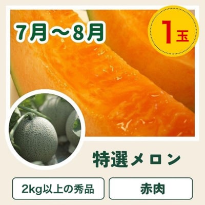 【令和9年産 先行予約】野菜 定期便 3回便 美瑛の四季～百合(小)～