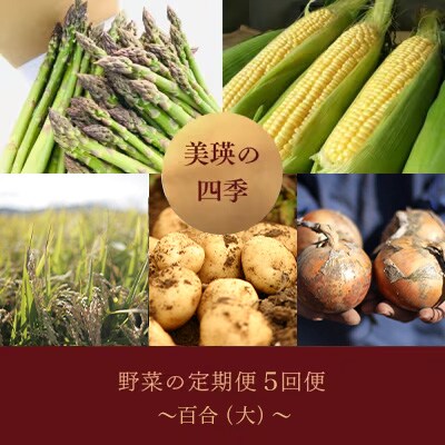 野菜の定期便【百合(大)】5回便【令和8年産先行受付!】 美瑛の四季