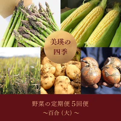 野菜の定期便【百合(大)】5回便【令和8年産先行受付!】 美瑛の四季