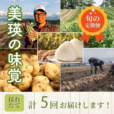 野菜の定期便【百合(大)】5回便【令和8年産先行受付!】 美瑛の四季