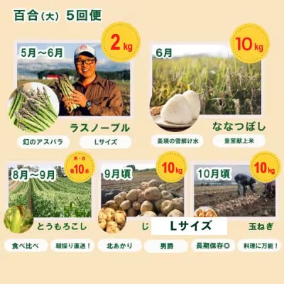 野菜の定期便【百合(大)】5回便【令和8年産先行受付!】 美瑛の四季
