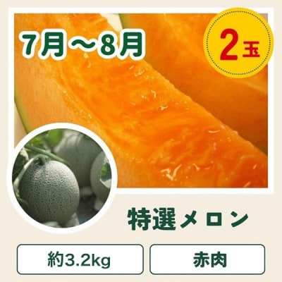 【令和9年産 先行予約】野菜 定期便 3回便 美瑛の四季～百合(大)～
