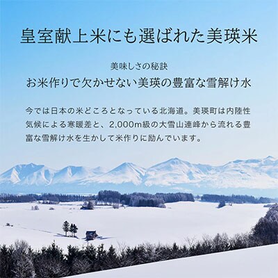 【先行予約!令和8年産】ななつぼし 2kg × 5ヶ月定期便 JAびえい