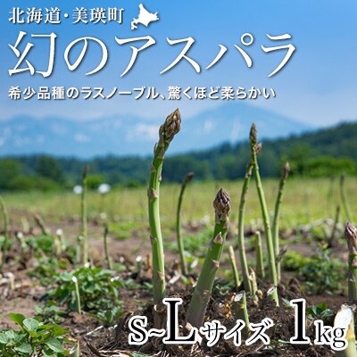 【先行予約!令和8年産】幻のアスパラ「ラスノーブル」L～Sサイズ 1kg グリーンアスパラ おおとり