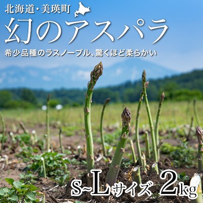【先行予約!令和8年産】幻のアスパラ「ラスノーブル」L～Sサイズ 2kg グリーンアスパラ おおとり