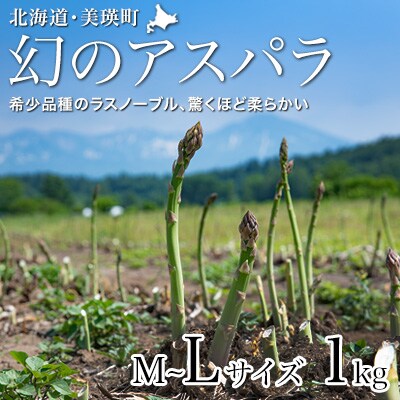 【先行予約!令和8年産】幻のアスパラ「ラスノーブル」L～Mサイズ 1kg グリーンアスパラ おおとり