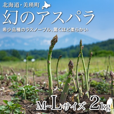 【先行予約!令和8年産】幻のアスパラ「ラスノーブル」L～Mサイズ 2kg グリーンアスパラ おおとり