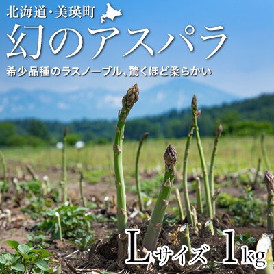 【先行予約!令和8年産】幻のアスパラ「ラスノーブル」Lサイズ 1kg グリーンアスパラ おおとり