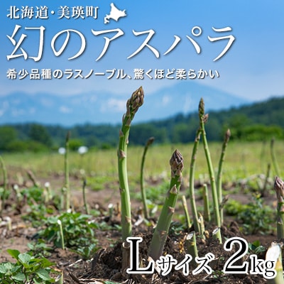 【先行予約!令和8年産】幻のアスパラ「ラスノーブル」Lサイズ 2kg グリーンアスパラ おおとり