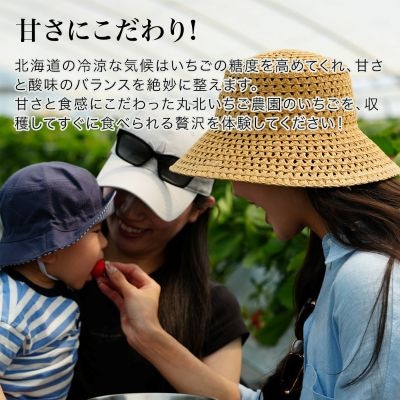 いちご狩り体験チケット 60分食べ放題 大人1名分 丸北いちご農園
