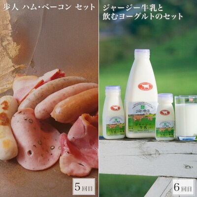 美瑛オールスター 定期便 6回便 北海道