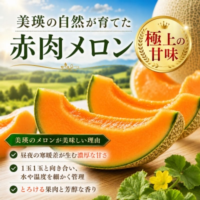 【令和8年産】美瑛 赤肉メロン 1玉 秀品 2kg以上 金子農園