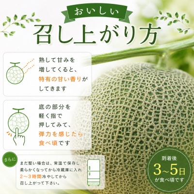 【令和8年産】美瑛 赤肉メロン 1玉 秀品 2kg以上 金子農園