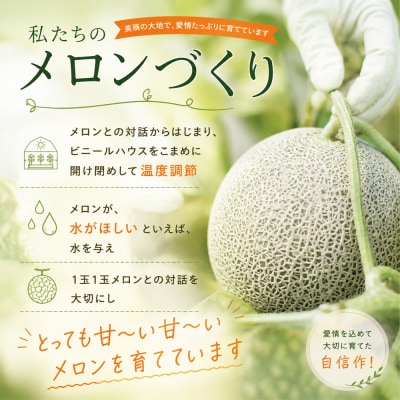 【令和8年産】美瑛 赤肉メロン 2玉 1玉1.6kg以上 金子農園