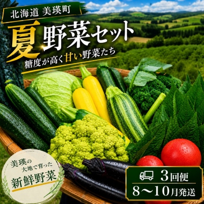 【令和8年産】旬の野菜7～9種の詰め合わせセット 定期便 3回便 8月～10月発送 美景農園