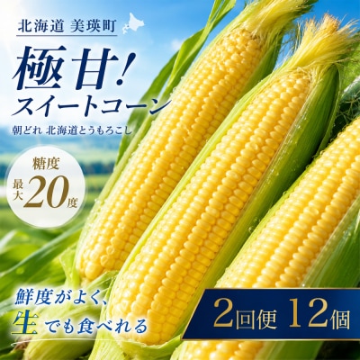 とうもろこし 12本 定期便 2回【令和8年産先行受付】黒木農場 (ほしつぶコーン)