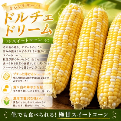 【令和8年産予約受付】とうもろこし ドルチェドリーム 10本 MARUMOスイートコーン 本山農場