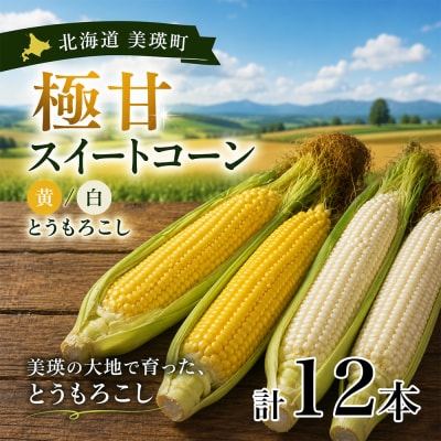 【先行予約】北海道 とうもろこし(黄色&白)12本 各6本 令和8年産 おおとり