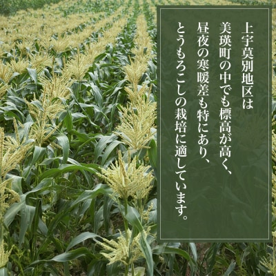 【先行予約】北海道 とうもろこし(黄色&白)8本 各4本 令和8年産 おおとり