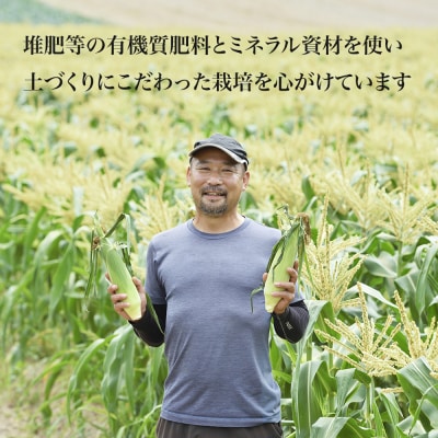 【先行予約】北海道 とうもろこし(黄色&白)8本 各4本 令和8年産 おおとり