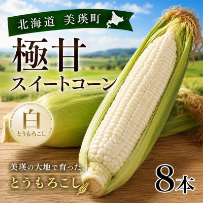 【先行予約】北海道 とうもろこし(白)8本 ホワイトコーン 令和8年産 おおとり