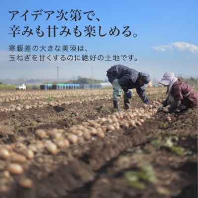 【先行予約】玉ねぎ 訳あり 5kg <令和8年産 > 美瑛選果 美瑛町産