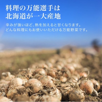 【先行予約】玉ねぎ 訳あり 5kg <令和8年産 > 美瑛選果 美瑛町産