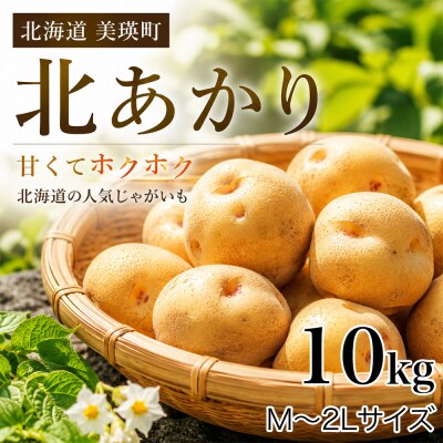 【先行予約】じゃがいも(きたあかり)10kg <令和8年産> おおとり